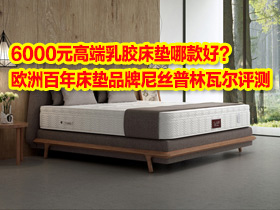 高端乳胶床垫哪款好?欧洲百年床垫品牌尼丝普林瓦尔(根特)评测