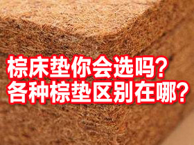 棕床垫你会选吗？手工棕、普通棕、3E棕、3D棕、软棕哪种材质更好？