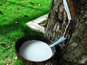 全球四大顶级乳胶床垫品牌介绍